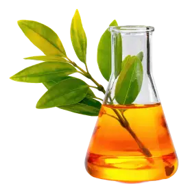 Extract de curcuma standardizat