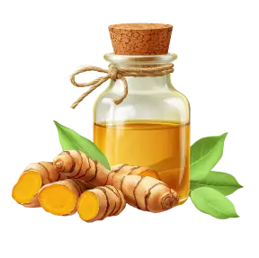 Extract 10:1 de curcuma