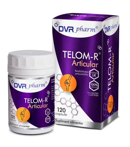 TELOM-R Articular capsule