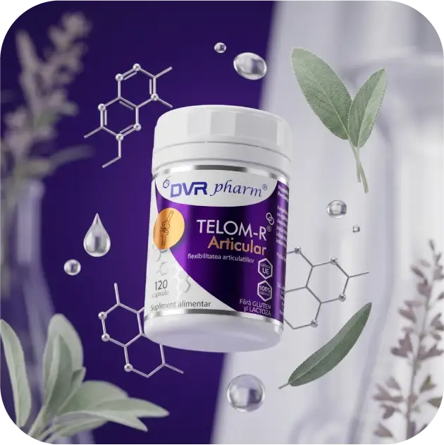 Capsule TELOM-R Articular