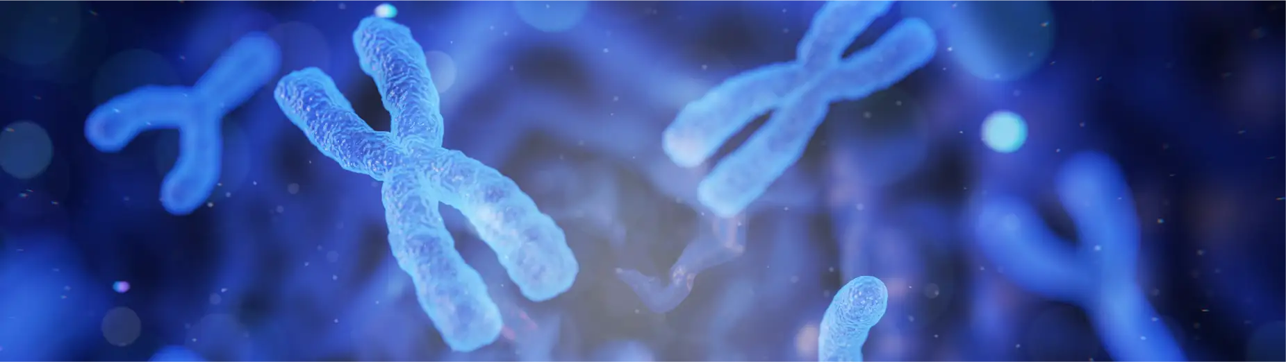 Regenerare celulară