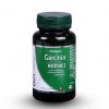 Garcinia extract