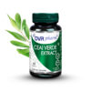 Ceai verde extract - antioxidant puternic cu rată mare de absorbție