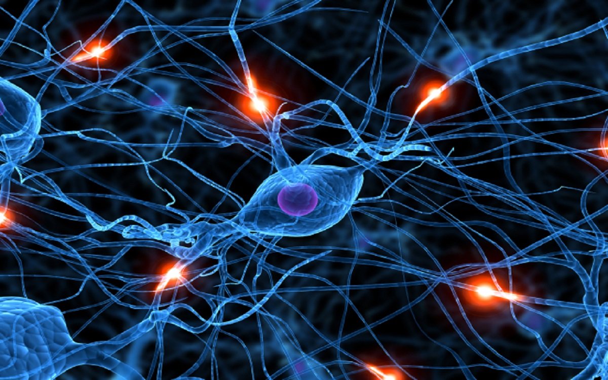 TELOM-R, TELOM-R – Telomerii şi afecţiunile neurologice, DVR Pharm