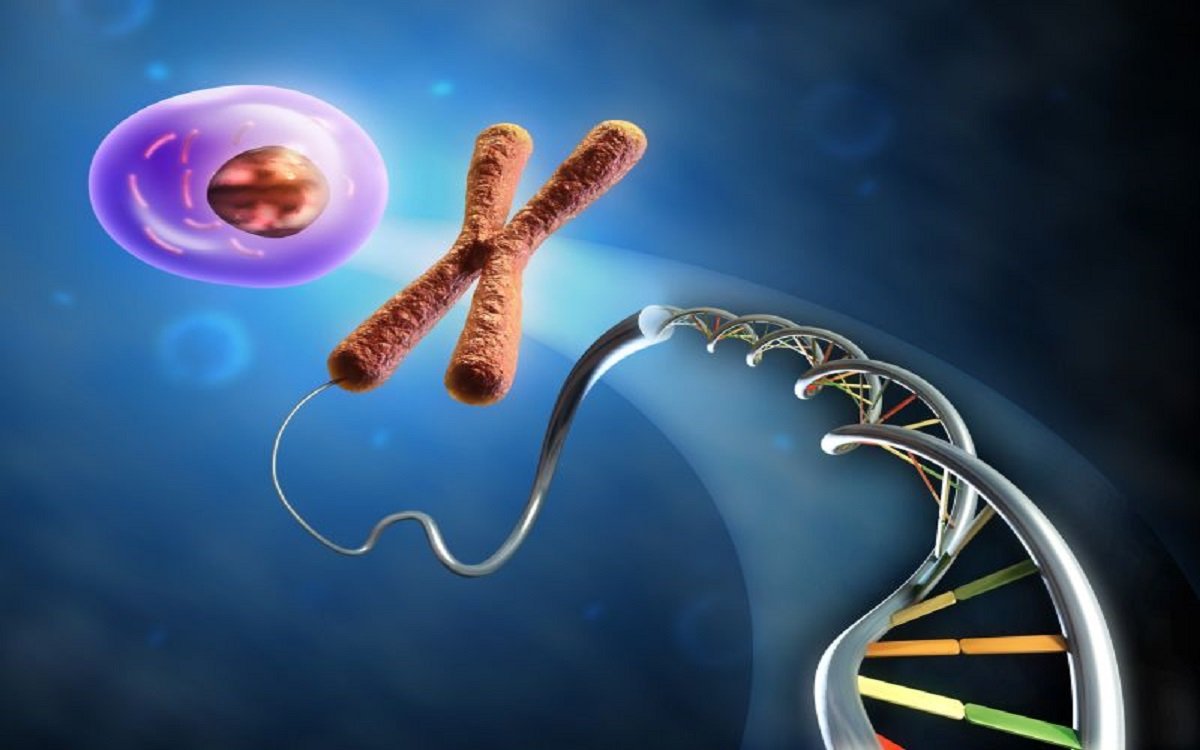 telomerii, Alimentaţia şi telomerii, DVR Pharm
