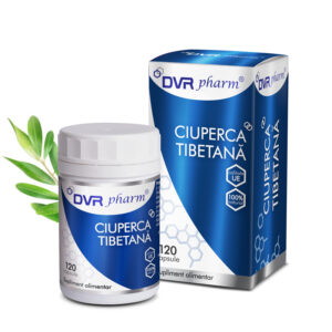 Ciupercă tibetană 120 capsule
