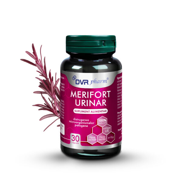 Merifort Urinar - ajutor în infecțiile reno-urinare