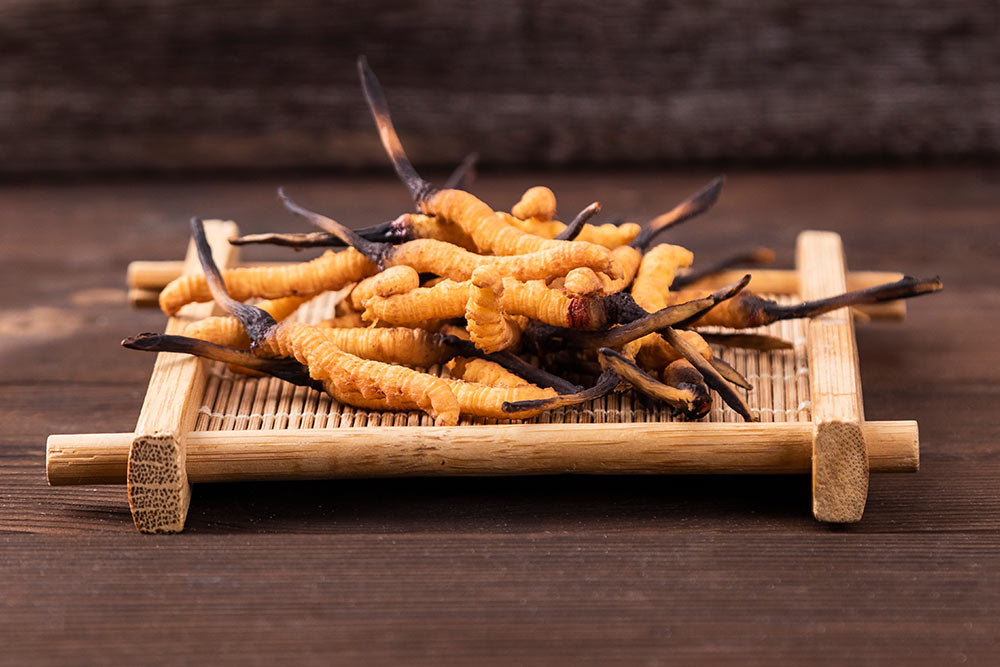 Ciuperca medicinală Cordyceps Sinensis revitalizează imunitatea