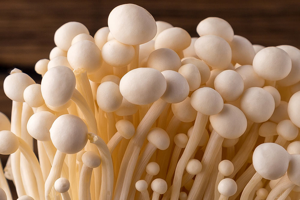 Enoki modulează imunitatea și flora intestinală