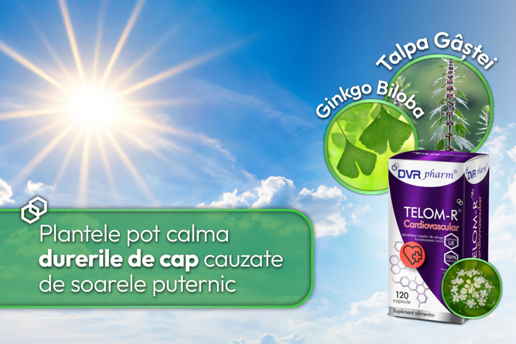 Plantele pot calma durerile de cap cauzate de soarele puternic