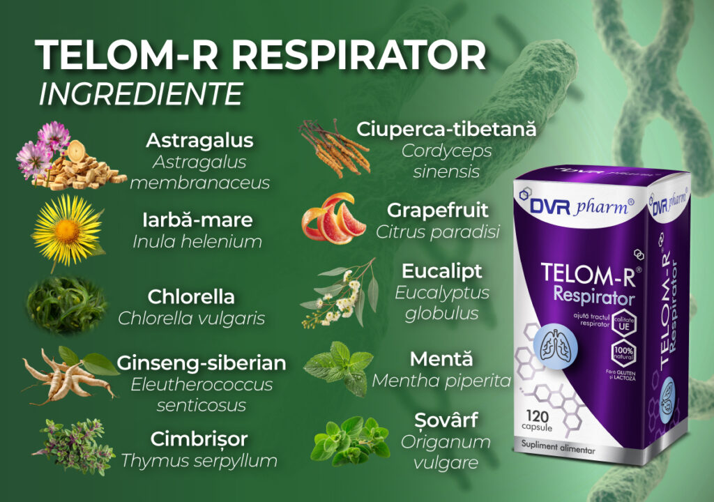 Formula TELOM-R Respirator conține plante medicinale - remedii naturale pentru răceală și gripă