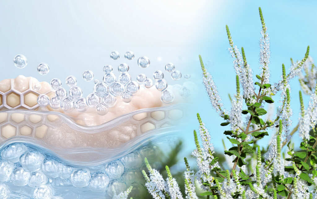 Crema de Smirnă și Tămâie este poate cea mai bună soluție contra infecțiilor fungice cunoscută