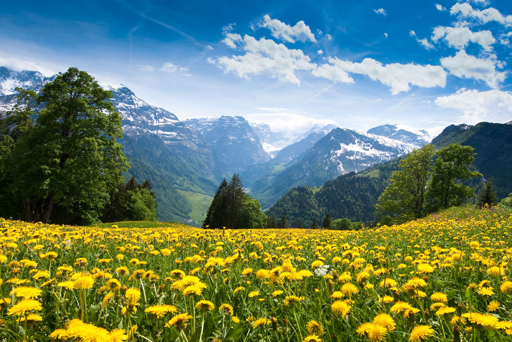 HEPATITA C ABORDARE INTEGRATVA