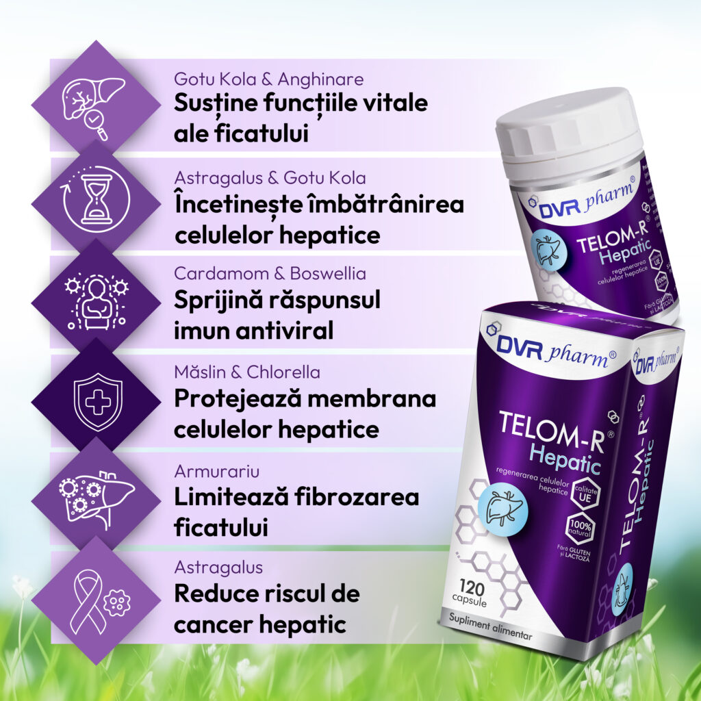 Infografic TELOM-R Hepatic în hepatita virală C