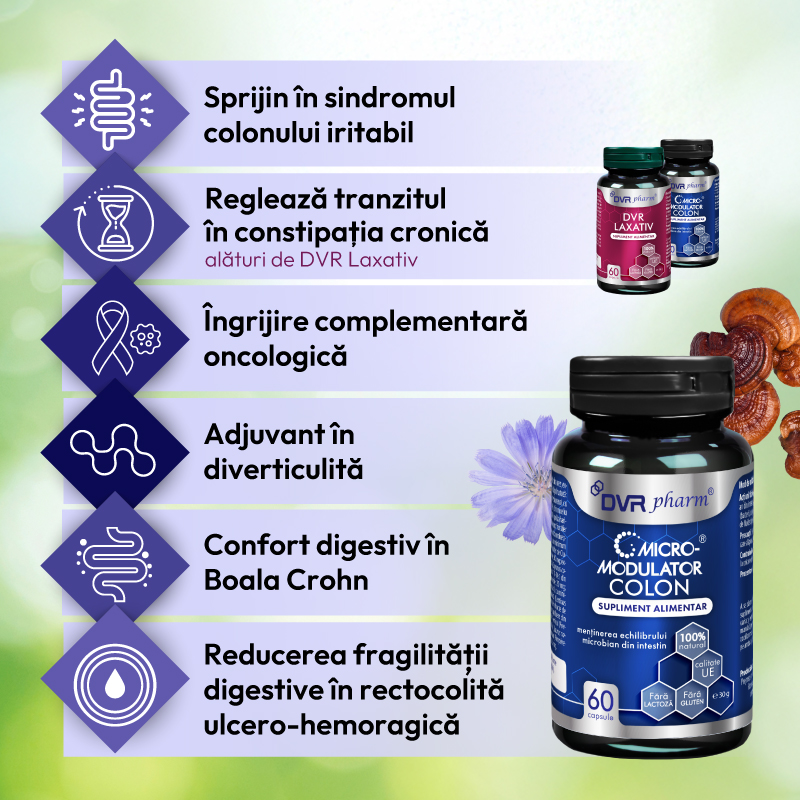 Infografic disbioza micromodulator colon