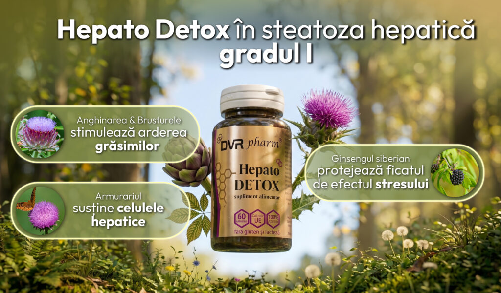 Acțiunea ingredientelor din Hepato Detox în steatoza hepatică gradul I